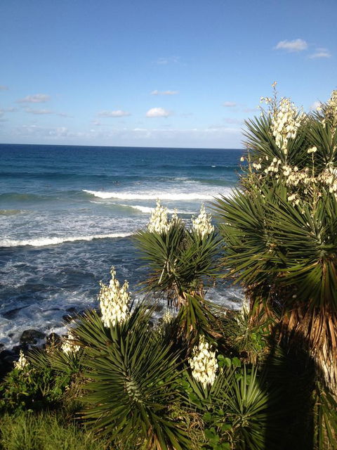 Oceania On Burleigh Beach - New South Wales Tourism  23