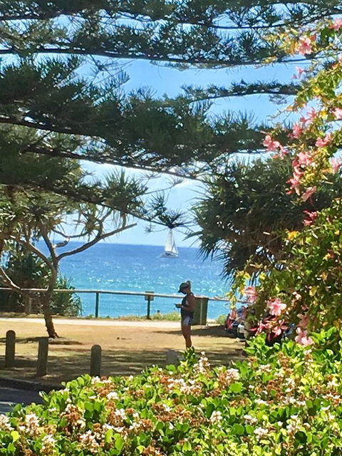 Oceania On Burleigh Beach - New South Wales Tourism  25