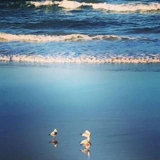 Oceania On Burleigh Beach - New South Wales Tourism  40