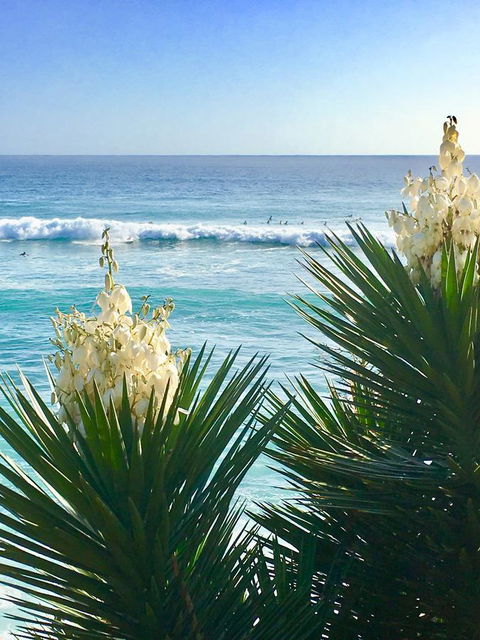 Oceania On Burleigh Beach - New South Wales Tourism  21