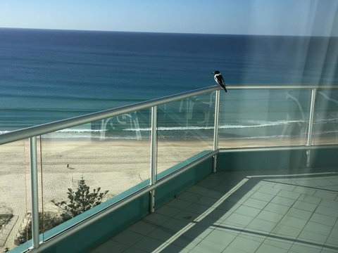 Ocean Plaza Resort - New South Wales Tourism  28