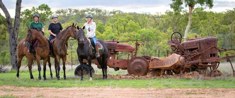 Ironbark House - New South Wales Tourism  8