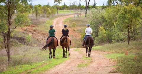 Ironbark House - New South Wales Tourism  22