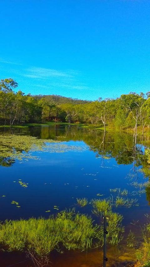 Ironbark House - New South Wales Tourism  21