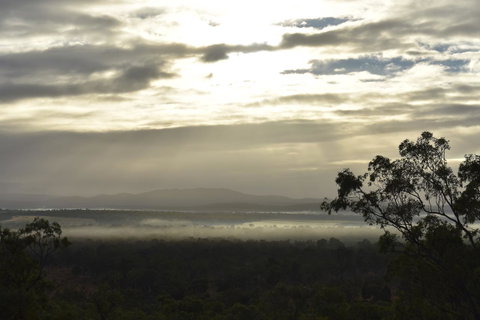 Ironbark House - New South Wales Tourism  5