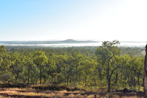 Ironbark House - New South Wales Tourism  16