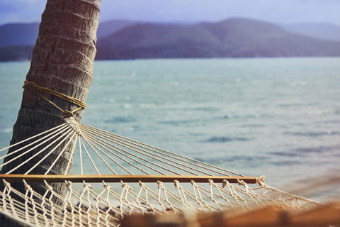 Daydream Island Resort - New South Wales Tourism  37