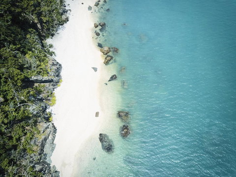 Daydream Island Resort - New South Wales Tourism  41