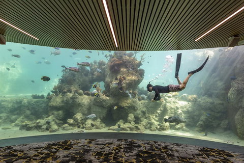 Daydream Island Resort - New South Wales Tourism  28