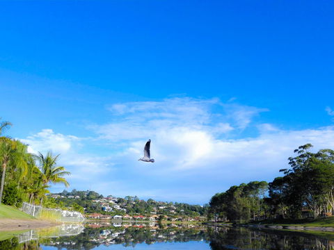 Bay Of Palms - New South Wales Tourism  18