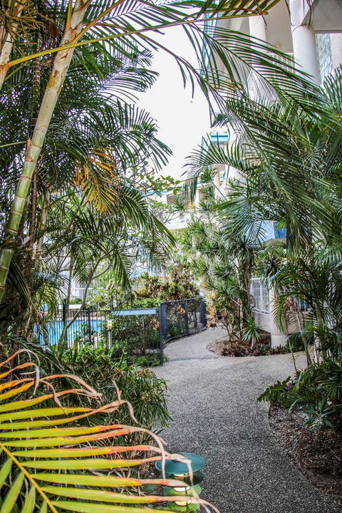 Surfers Beach Holiday Apartments - New South Wales Tourism  11