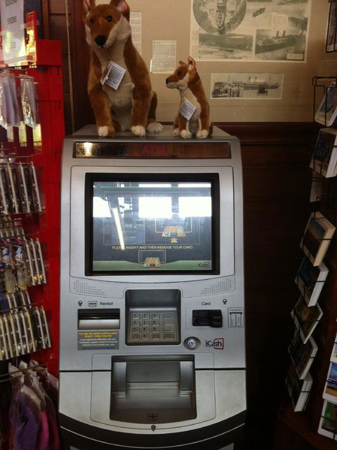 Fraser Island Retreat - New South Wales Tourism  33