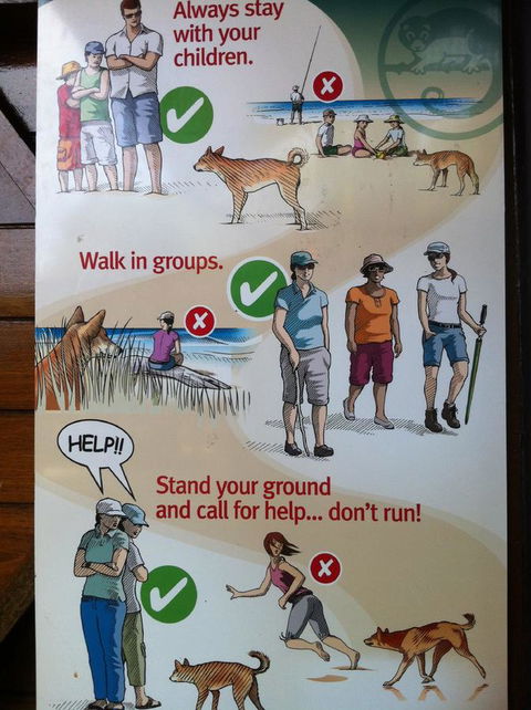 Fraser Island Retreat - New South Wales Tourism  31