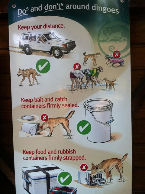 Fraser Island Retreat - New South Wales Tourism  32