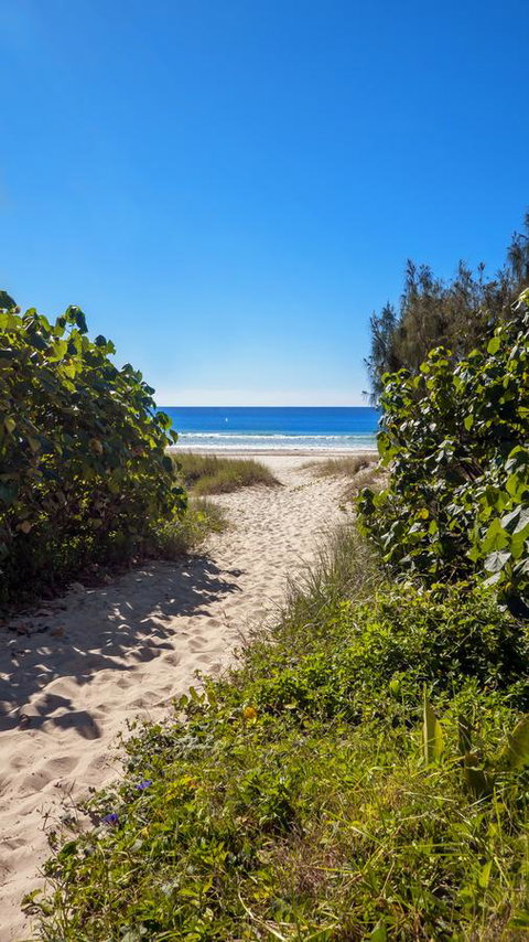 Bilinga Beach Motel - New South Wales Tourism  26