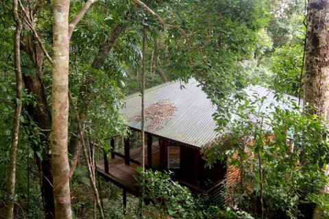 Cairns Rainforest Retreat - New South Wales Tourism  0