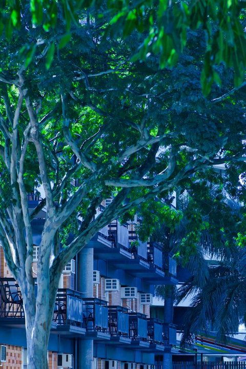 Soho Brisbane - New South Wales Tourism  12