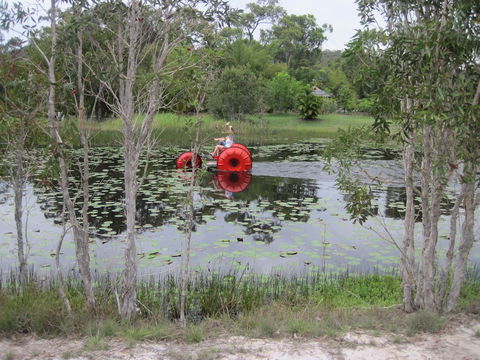 1770 Southern Cross Travellers Retreat - New South Wales Tourism  16