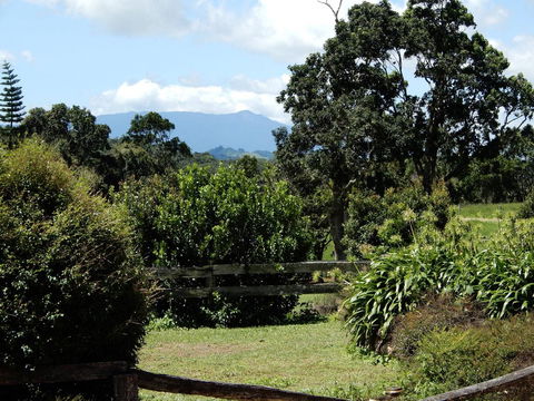 Malanda Manor Guesthouse - New South Wales Tourism  3