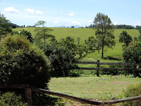 Malanda Manor Guesthouse - New South Wales Tourism  17