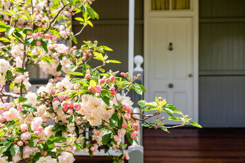 Apple Blossom Cottages - New South Wales Tourism  2