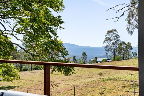 Hollow Tree Farm - New South Wales Tourism  15