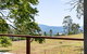 Hollow Tree Farm - thumb 1
