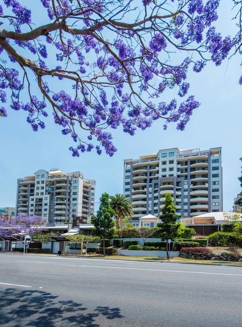 The Oasis Apartments - New South Wales Tourism  2