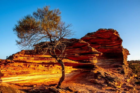 Waterside House Kalbarri - New South Wales Tourism  2