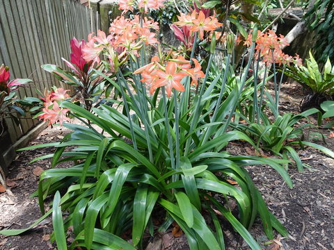 Winston Cottage - New South Wales Tourism  2