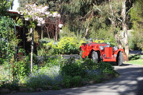 Wintarni Olives Cottage - New South Wales Tourism  1