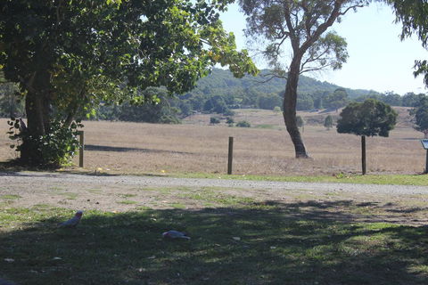 Wonky Stables Holiday Park - New South Wales Tourism  2