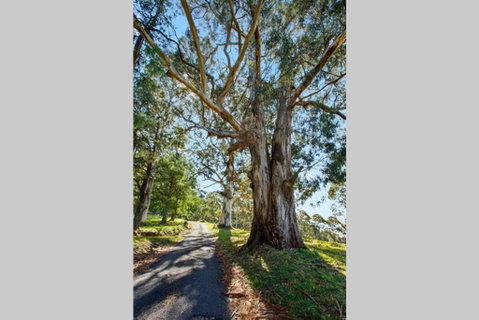 WOOLWAY - New South Wales Tourism  1