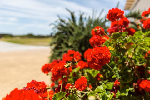 Wytonia Beachfront Accommodation - New South Wales Tourism  3