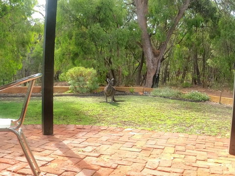 Yallingup Pet Friendly Bush Retreat - New South Wales Tourism  3