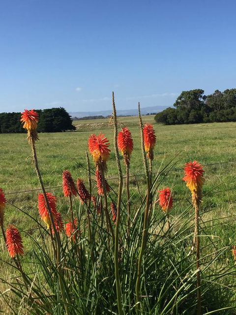 Yanakie Holiday House - New South Wales Tourism  2
