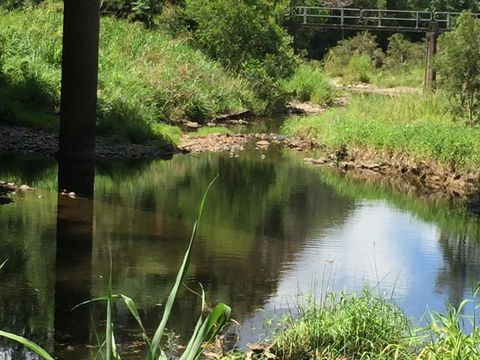 Yandina Caravan Park - New South Wales Tourism  2