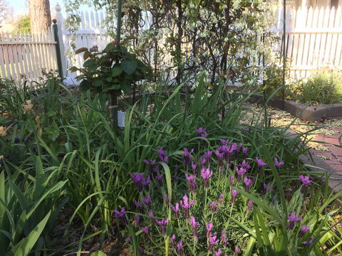 Yapera On Lucan - New South Wales Tourism  2