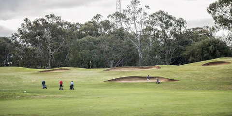 Yarrawonga Mulwala Golf Club - New South Wales Tourism  2