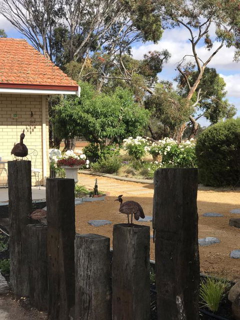 Yellow Gum Bed And Breakfast - New South Wales Tourism  2