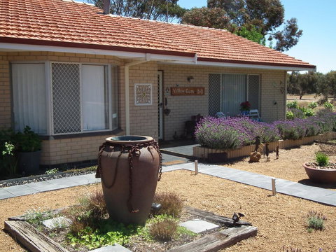 Yellow Gum Bed And Breakfast - New South Wales Tourism  0