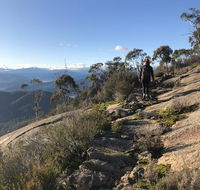 Yours and Theirs Pet Friendly Accommodation - New South Wales Tourism 
