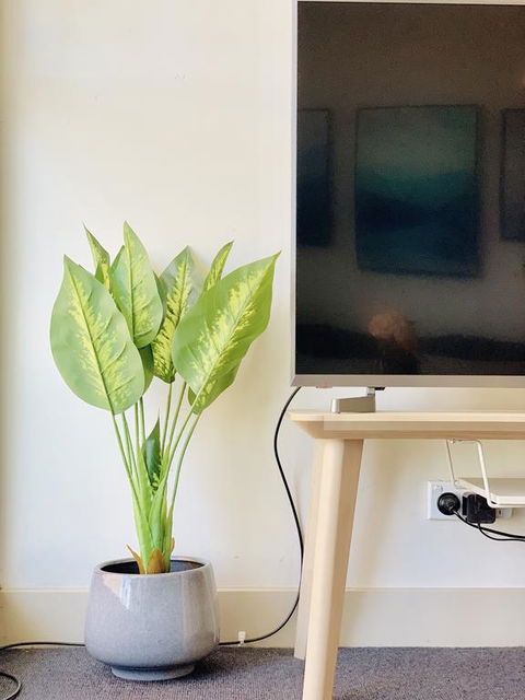 ZEN Homes On Collins - New South Wales Tourism  3