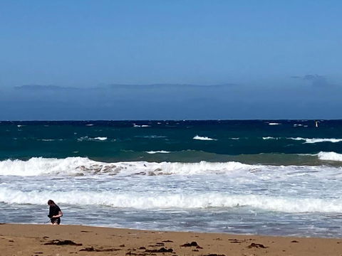 A Beach Front Apartment - New South Wales Tourism  3