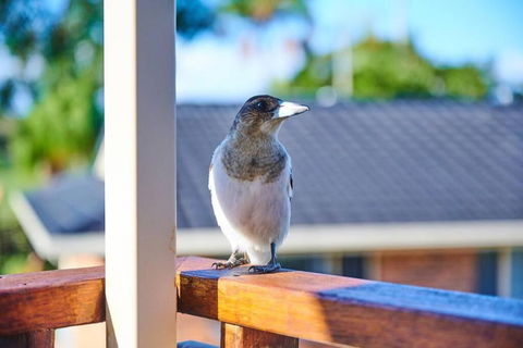 A Kids Dream & Paradise For Parents - New South Wales Tourism  2