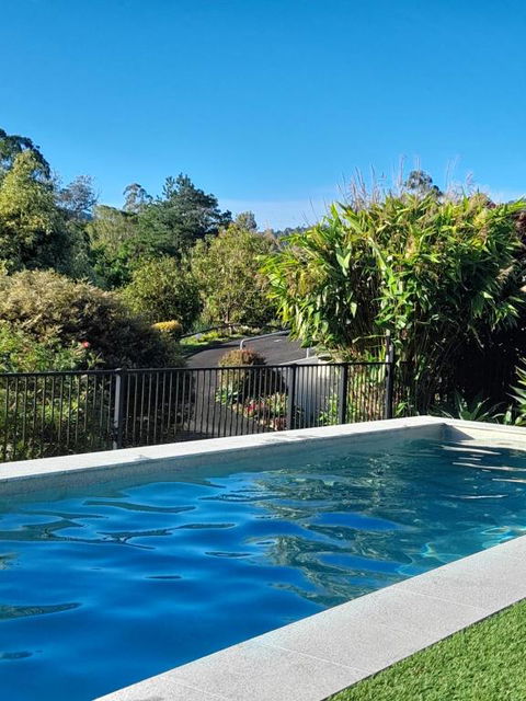 A View Of Mount Warning - New South Wales Tourism  4
