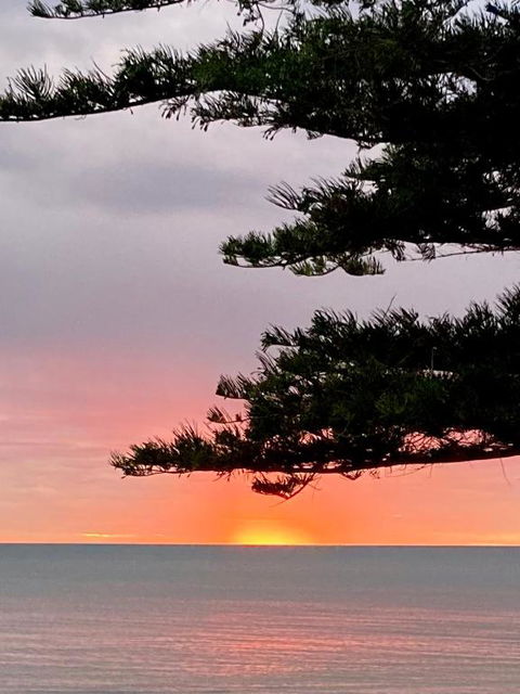 Absolute Beachfront Apartment, Amazing Sunsets - New South Wales Tourism  2