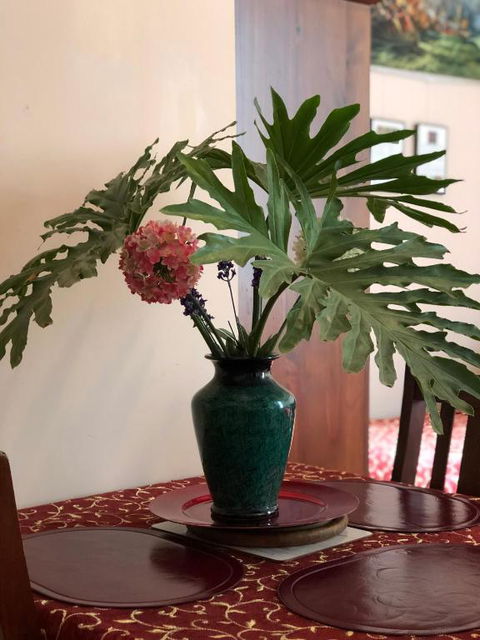 Albany Foreshore Guest House - New South Wales Tourism  2