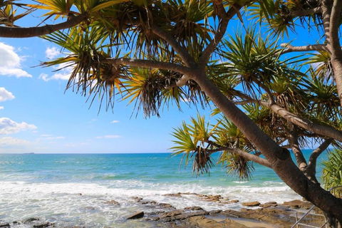 Alex Heads Beachfront Resort 2 Bedroom Apartment - New South Wales Tourism  3