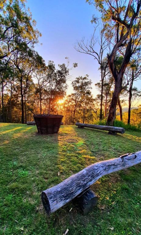 Allawah Bush Retreat - New South Wales Tourism  1